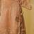 Peach embroidered tissue organza sharara set