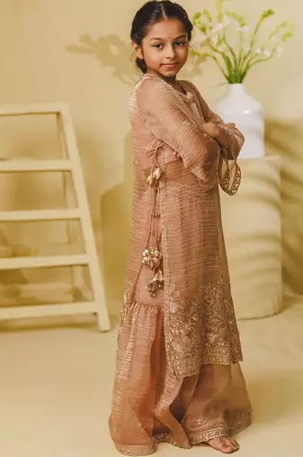 Peach embroidered tissue organza sharara set