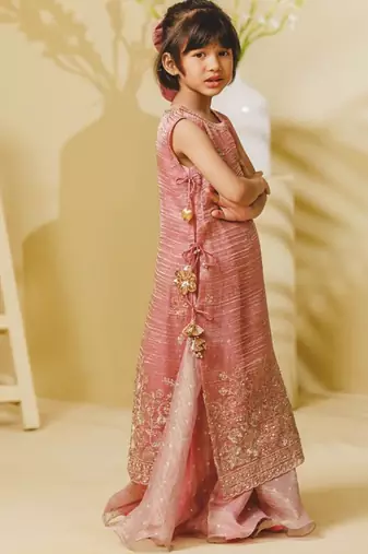 Pink embroidered tissue organza anarkali and ponchu set