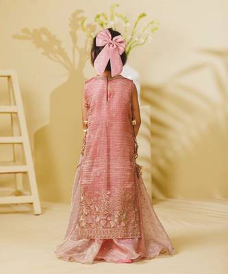 Pink embroidered tissue organza anarkali and ponchu set 3