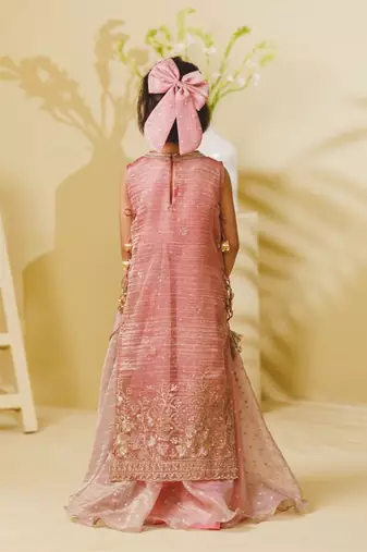 Pink embroidered tissue organza anarkali and ponchu set