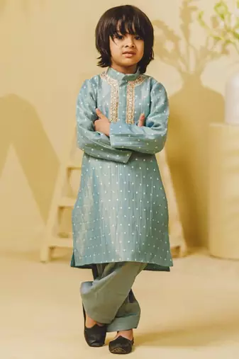Blue embroidered tissue organza kurta and pant