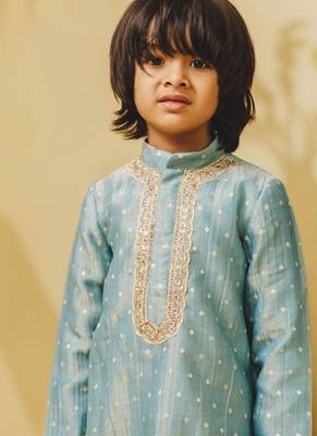 Blue embroidered tissue organza kurta and pant 4