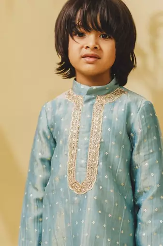 Blue embroidered tissue organza kurta and pant