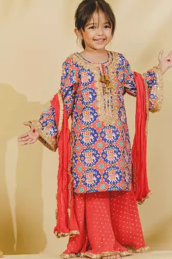 Blue embroidered cotton sharara set