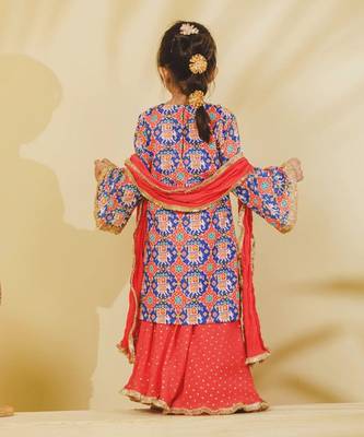 Blue embroidered cotton sharara set 3