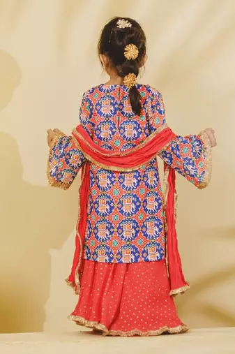 Blue embroidered cotton sharara set