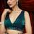 embellished embroidered saree with blouse 
