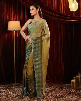Ombre Beads and Stones Saree with blouse 3