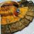 Yellow Green color art silk blend sarees with blouse