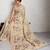 Cream jari embroidery mirror work linan saree with blouse