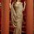 Chiku velvet heavy embroidery sequence work party wear saree