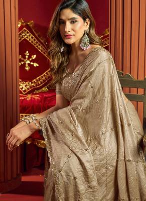 Chiku velvet heavy embroidery sequence work party wear saree 4
