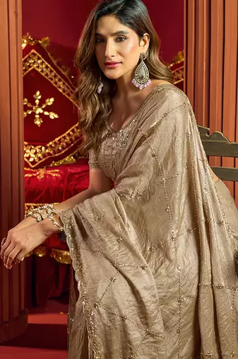 Chiku velvet heavy embroidery sequence work party wear saree