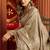 Chiku velvet heavy embroidery sequence work party wear saree