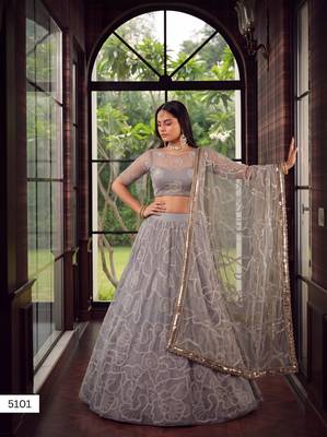 Light Grey Designer Embroidered Butterfly Net Lehenga Choli Set 1