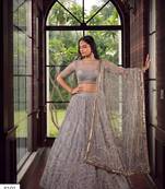 Light Grey Designer Embroidered Butterfly Net Lehenga Choli Set