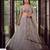 Light Grey Designer Embroidered Butterfly Net Lehenga Choli Set