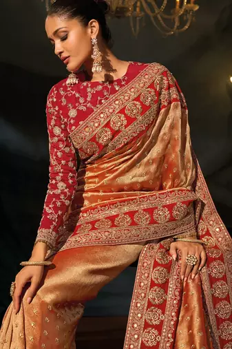 Rust sabyasachi cloth zari with sequins heavy hand work saree with blouse