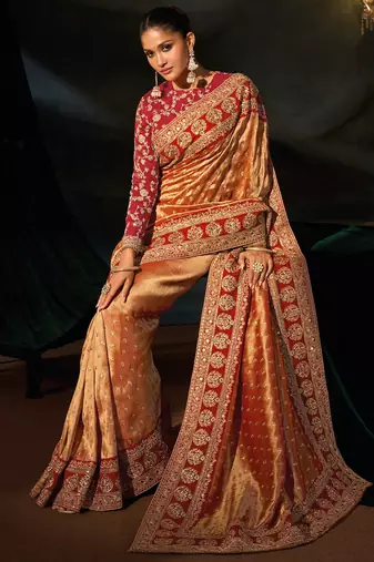 Rust sabyasachi cloth zari with sequins heavy hand work saree with blouse