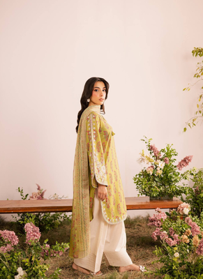 Green digital print & embroidered kurta with dupatta & farshi salwar 3