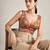 Multi coloured woven design brocade saree blouse