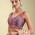 Multi coloured woven design brocade saree blouse
