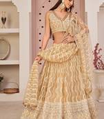 Beige Net Embroidered & Zari Work Semi Stitched Lehenga Choli