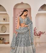 Grey Net Embroidered & Zari Work Semi Stitched Lehenga Choli