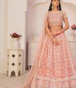 Light Pink Net Embroidered & Zari Work Semi Stitched Lehenga Choli