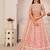 Light Pink Net Embroidered & Zari Work Semi Stitched Lehenga Choli