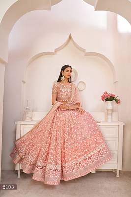 Light Pink Net Embroidered & Zari Work Semi Stitched Lehenga Choli 2