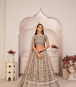 Brown Net Embroidered & Zari Work Semi Stitched Lehenga Choli
