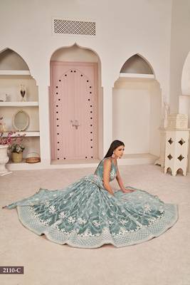 Blue Net Embroidered & Zari Work Semi Stitched Lehenga Choli 3