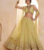 Yeelow Net Embroidered & Zari Work Semi Stitched Lehenga Choli