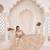 Chiku Net Embroidered & Zari Work Semi Stitched Lehenga Choli