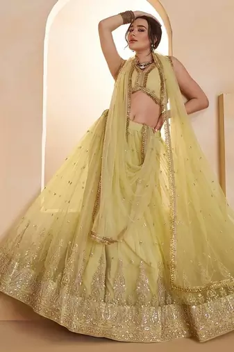 Yeelow Net Embroidered & Zari Work Semi Stitched Lehenga Choli