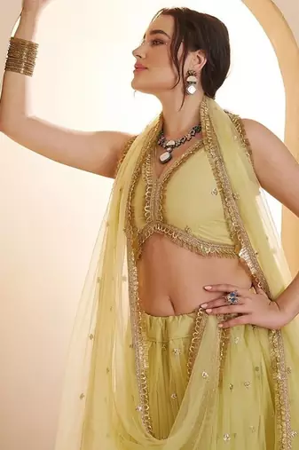 Yeelow Net Embroidered & Zari Work Semi Stitched Lehenga Choli