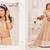 Chiku Net Embroidered & Zari Work Semi Stitched Lehenga Choli