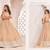 Chiku Net Embroidered & Zari Work Semi Stitched Lehenga Choli