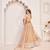 Chiku Net Embroidered & Zari Work Semi Stitched Lehenga Choli