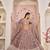 Onion Net Embroidered & Zari Work Semi Stitched Lehenga Choli