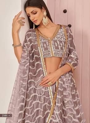 Onion Net Embroidered & Zari Work Semi Stitched Lehenga Choli 3