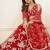 Red Net Embroidered & Thread Work Semi Stitched Lehenga Choli