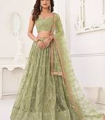 Green Net Embroidered & Thread Work Semi Stitched Lehenga Choli