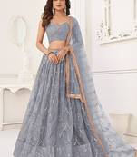 Light Grey Net Embroidered & Thread Work Semi Stitched Lehenga Choli