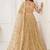 Chiku Net Embroidered & Thread Work Semi Stitched Lehenga Choli
