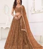 Brown Net Embroidered & Thread Work Semi Stitched Lehenga Choli