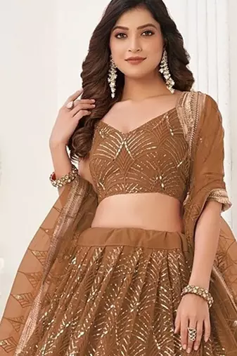 Brown Net Embroidered & Thread Work Semi Stitched Lehenga Choli