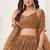 Brown Net Embroidered & Thread Work Semi Stitched Lehenga Choli